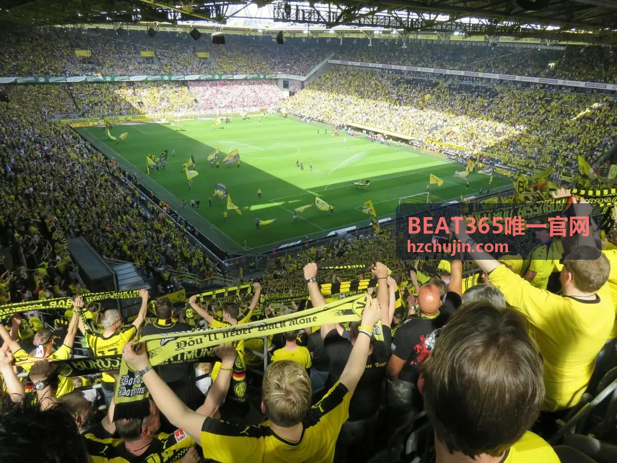 BEAT365唯一官网首页与最新动态信息展示封面